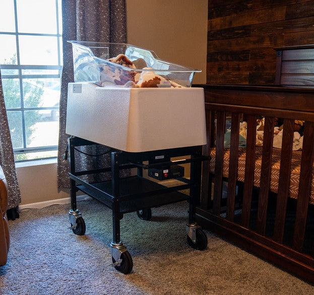inmotion crib